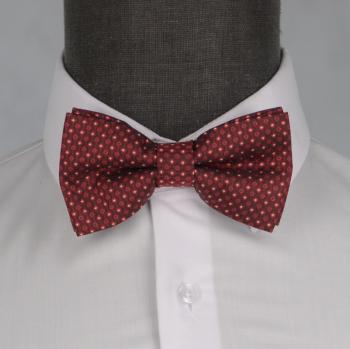 Бабочка мужская 0205