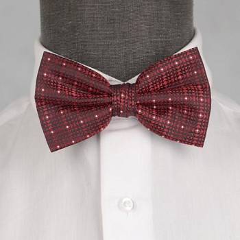 Бабочка мужская 0037