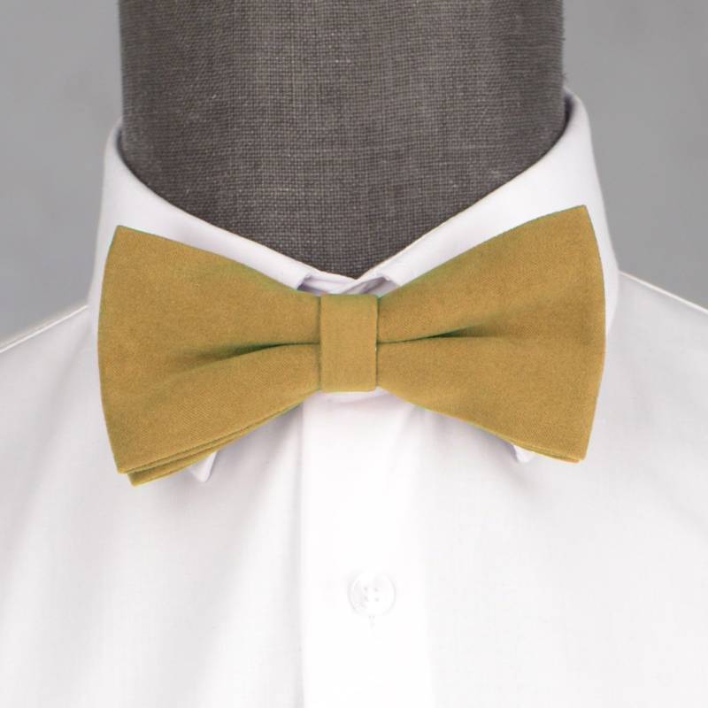 Бабочка мужская 0169