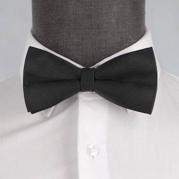 Бабочка мужская 0018