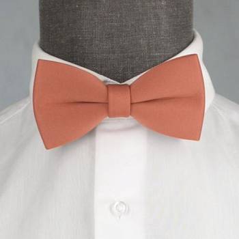 Бабочка мужская с платком 0262