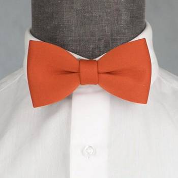 Бабочка мужская с платком 0264